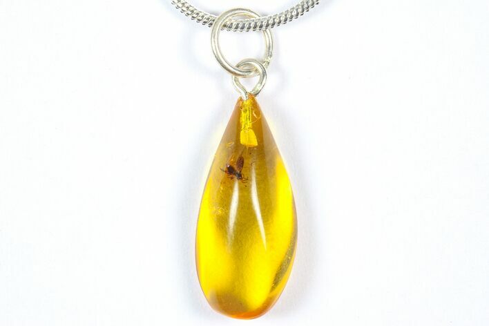Polished Baltic Amber Pendant (Necklace) - Contains Fly! #369006